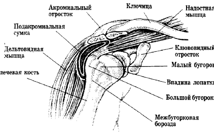 Как лечить артрит плечевого сустава