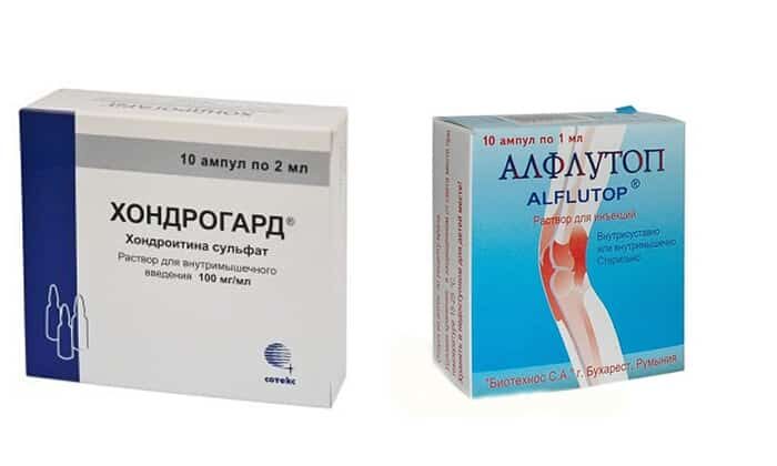 Что выбрать: Алфлутоп или Хондрогард?
